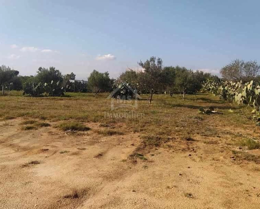 Terrain de 1932 m² à birbouragba à vendre 51355351