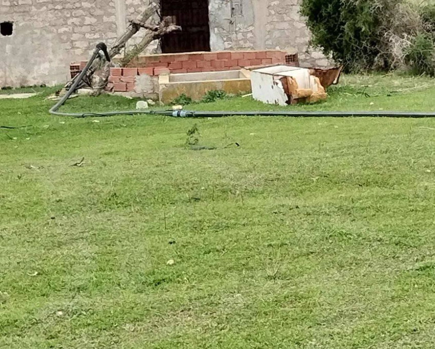 Terrain agricole près de la mer à vendre