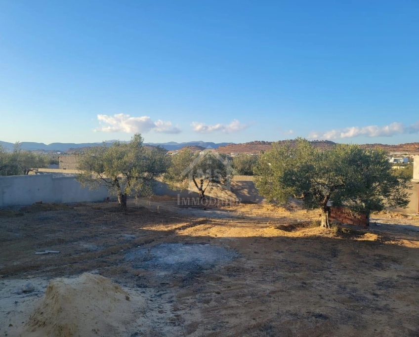Terrain clôturé de 1269 m² à hammamet sud à vendre 51355351