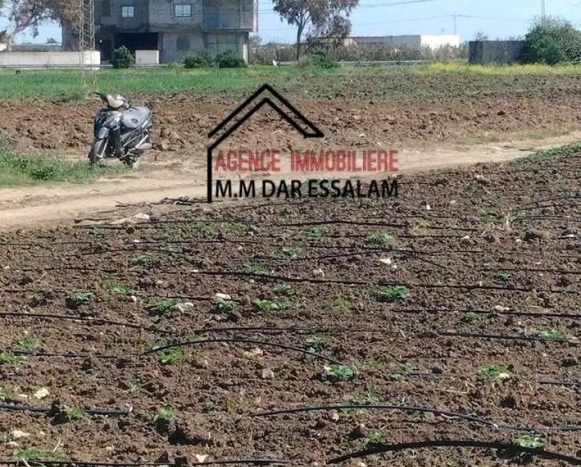 Terrain bonne occasion à vendre