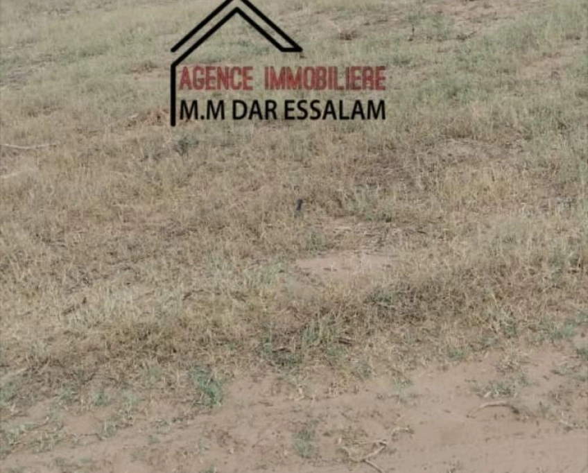 Terrain près de la route principal à vendre