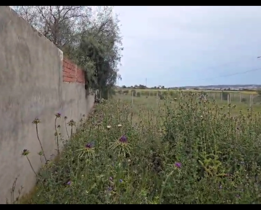 Un terrain de 1000 m2 sur la route principale
