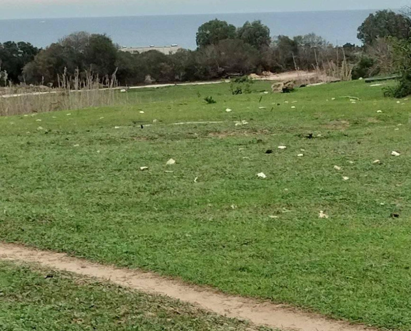 Terrain agricole près de la mer à vendre
