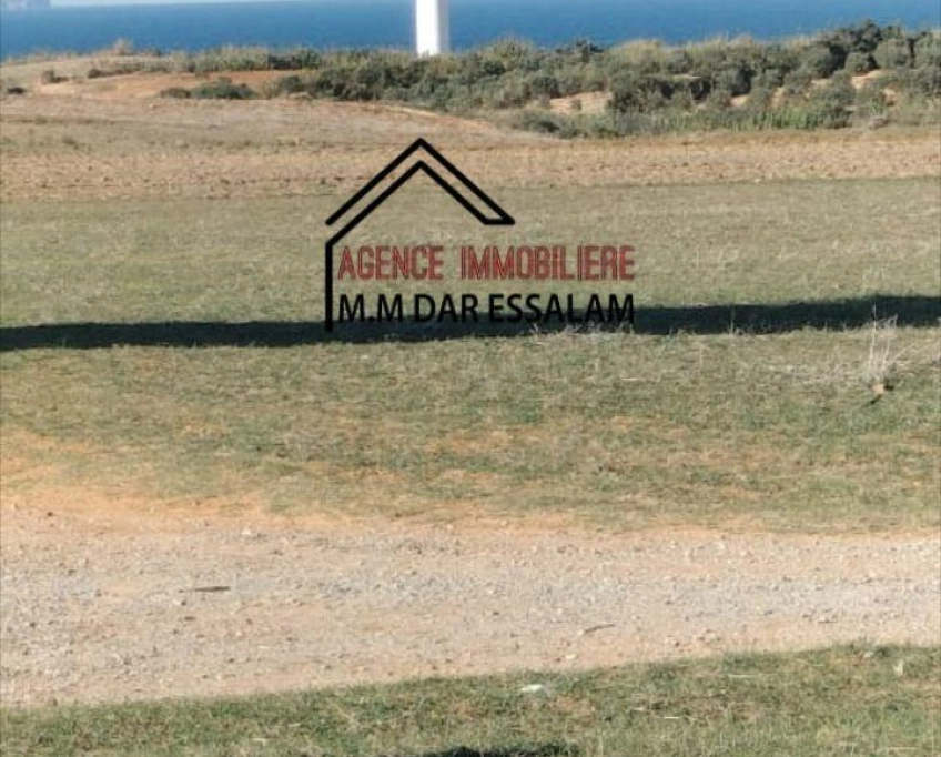 Terrain agricole près de la mer