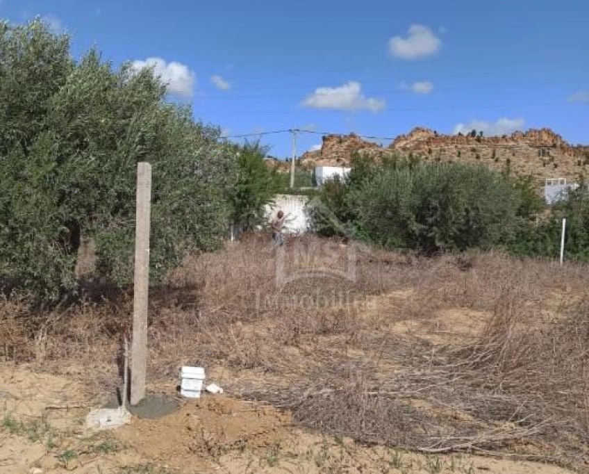Terrain de 300 m² à hammamet sud à vendre 51355351