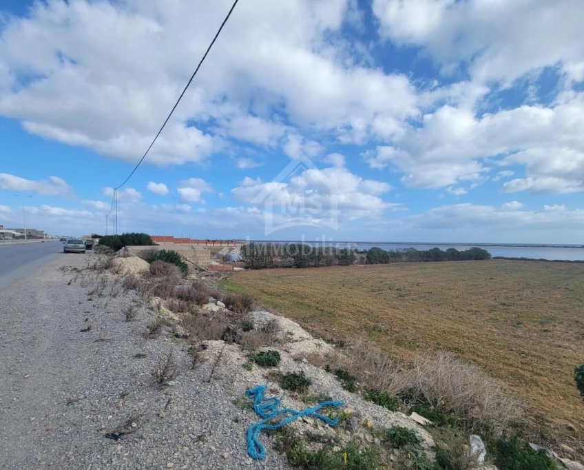 Terrain pieds dans l'eau de 3333 m² à korba à vendre 51355351