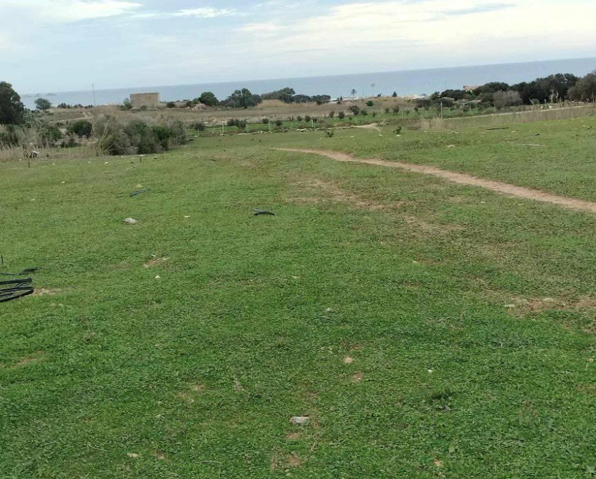 Terrain agricole près de la mer à vendre