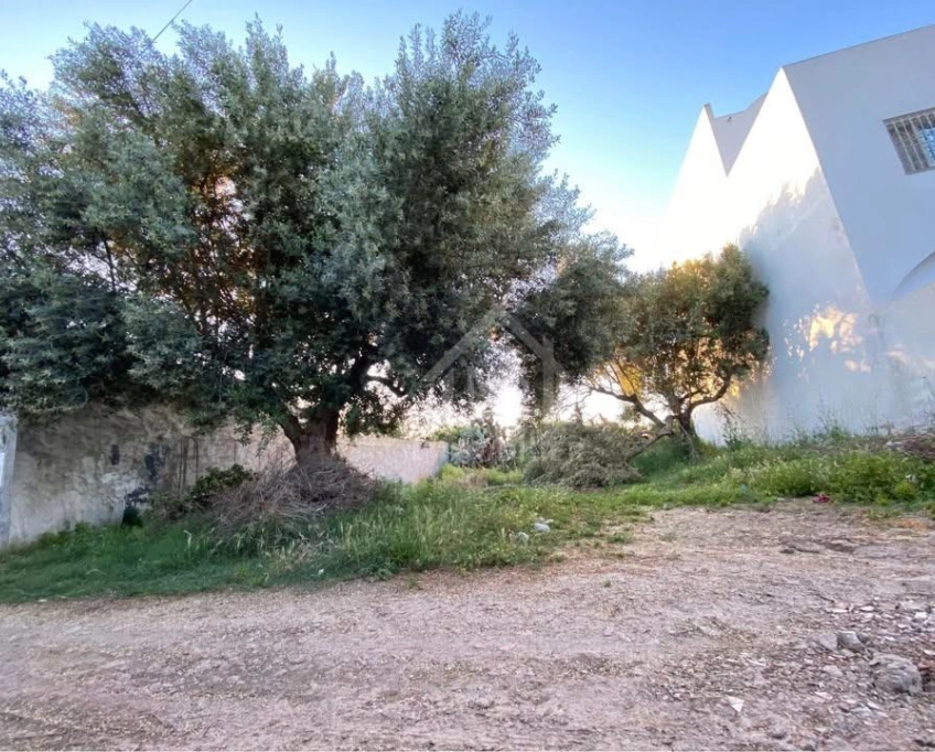 Lot de terrain de 250 m² à hammamet à vendre 51355351