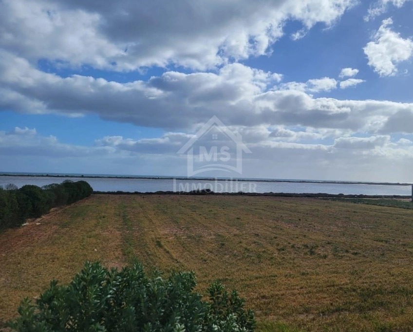 Terrain pieds dans l'eau de 3333 m² à korba à vendre 51355351