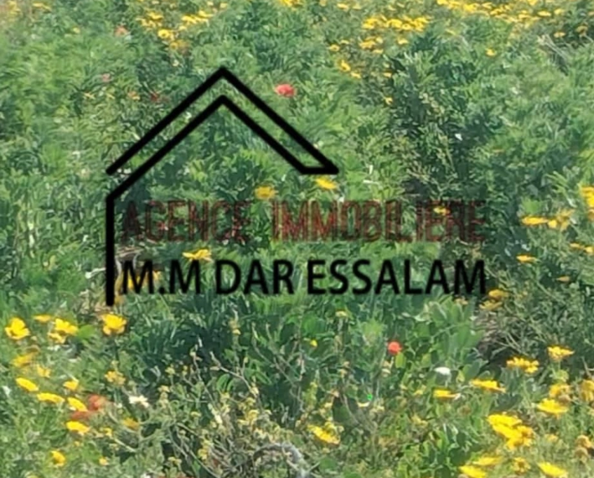 Terrain agricole contenant une maison à vendre