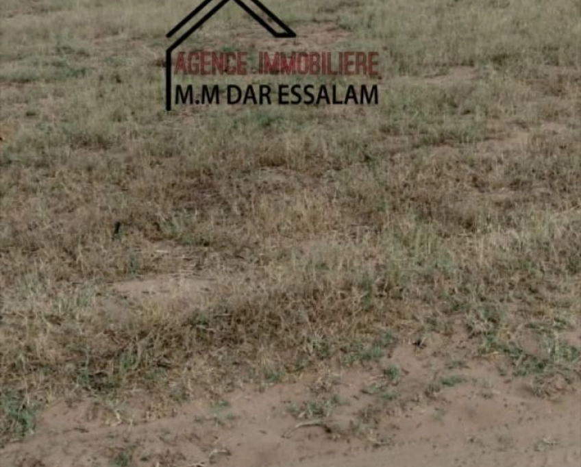 Terrain près de la route principal à vendre