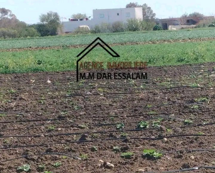 Terrain bonne occasion à vendre