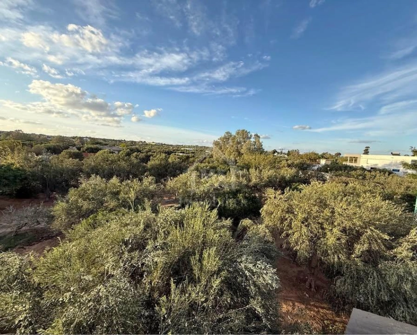 Terrain de 500 m² à daroufaa à vendre 51355351