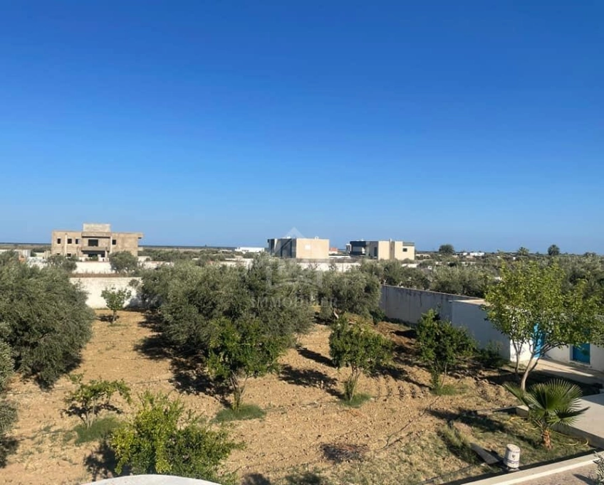 Une grande propriété à hammamet sud à vendre 51355351