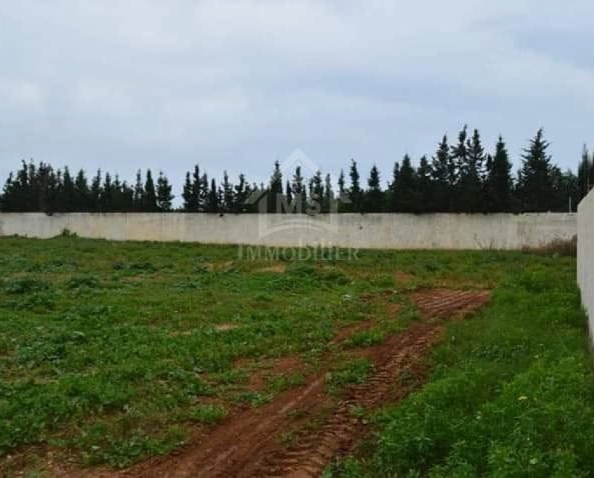 Terrain de 716 m² à vendre à hammamet sud 51355351