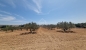 Terrain de 1000 m² à vendre à 200 md à hammamet sud 51355351