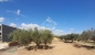 Lot de terrain de 200 m²  sur la route principale à hammamet sud à vendre 51355351