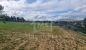 Terrain de 1 hectare planté d'oliviers à hammamet sud à vendre 51355351