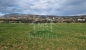 1 hectare planté d'oliviers à hammamet sud à vendre 51355351