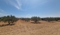 Terrain de 4018 m² à vendre à hammamet sud 51355351