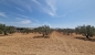 Terrain de 1000 m² à vendre à 200 md à hammamet sud 51355351