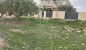 Deux lots de terrain à vendre à hammamet sud 51355351