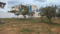 Terrain de 250 m² à hammamet nord à vendre 51355351