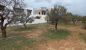 Terrain de 250 m² à hammamet nord à vendre 51355351