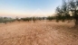 Terrain de 1000 m² à vendre à 200 md à hammamet sud 51355351