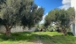 Lot de terrain de 250 m² à hammamet à vendre 51355351